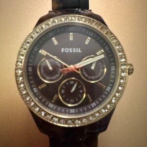 Fossil tortoise shell watch